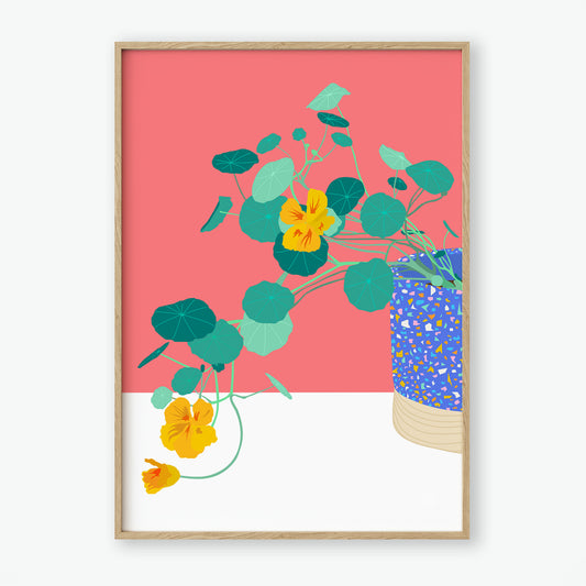Nasturtium
