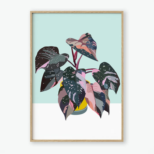 Philodendron