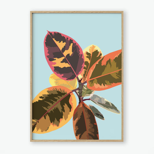 Rubber Plant